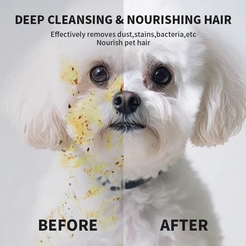 Pet Wash-Free Gloves Cat Bath Deodorant Wipes Disposable Cleaning Dry Cleaning Dog Wipes Gentle And Convenient Gloves