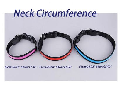 LED Dog Collar Adjustable USB Rechargeable 3 Modes Waterproof Nighttime Safety Reflective Leather Light-up Suitable For Pets