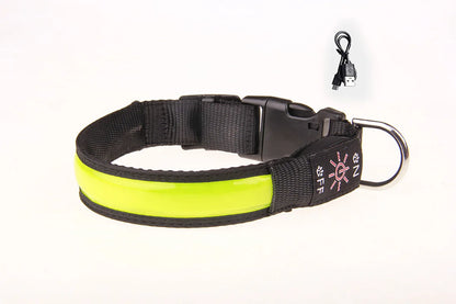 LED Dog Collar Adjustable USB Rechargeable 3 Modes Waterproof Nighttime Safety Reflective Leather Light-up Suitable For Pets