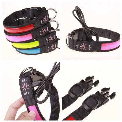 LED Dog Collar Adjustable USB Rechargeable 3 Modes Waterproof Nighttime Safety Reflective Leather Light-up Suitable For Pets