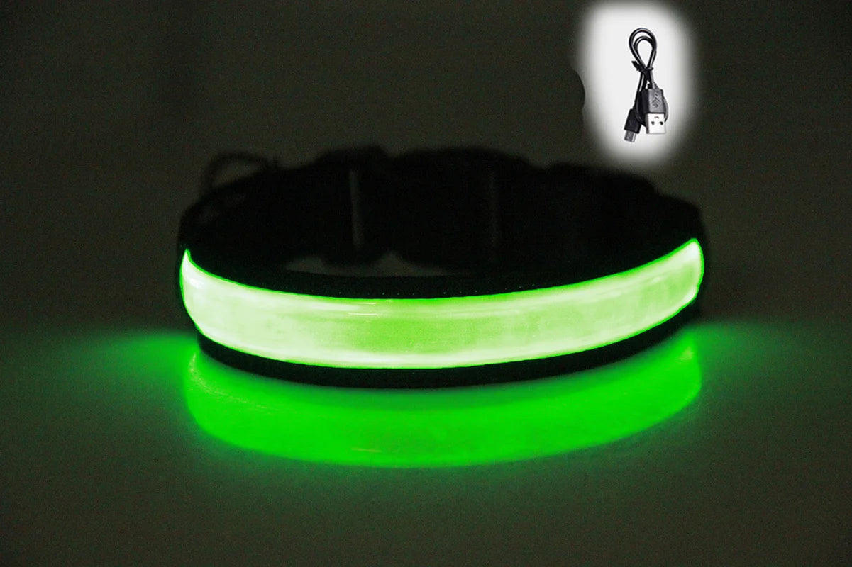 LED Dog Collar Adjustable USB Rechargeable 3 Modes Waterproof Nighttime Safety Reflective Leather Light-up Suitable For Pets