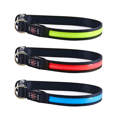 LED Dog Collar Adjustable USB Rechargeable 3 Modes Waterproof Nighttime Safety Reflective Leather Light-up Suitable For Pets